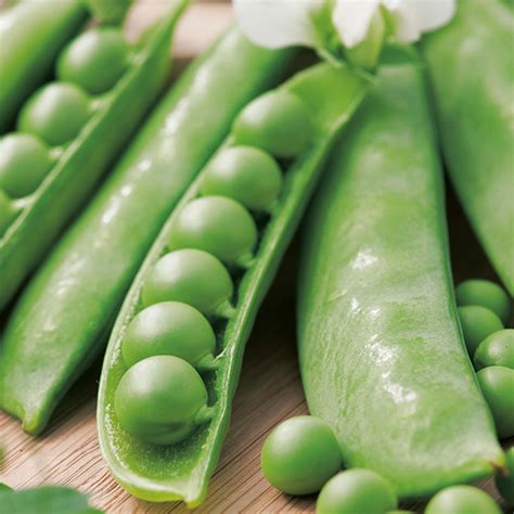 There are several peas in each pod. Pea (Snap type) Sugar Snap Seeds From D. T. Brown