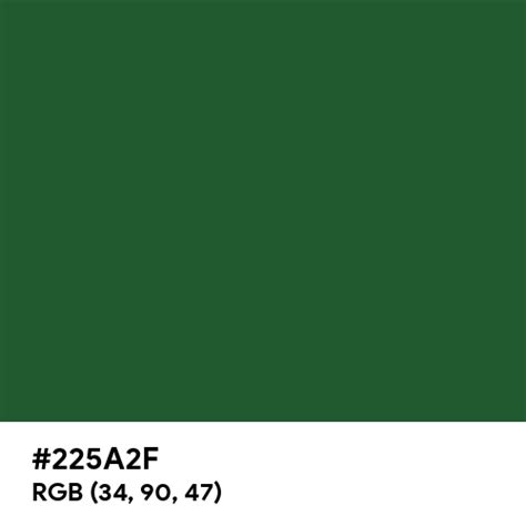 Dark Emerald Color Hex Code Is 225a2f