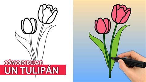 Cómo Dibujar Un Tulipán Fácil Tutorial De Dibujo Paso A Paso Youtube