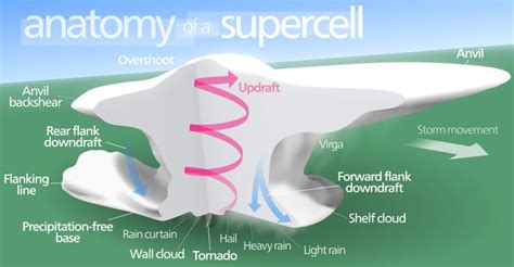 Diagram Of A Supercell In The Northern Hemisphere Wall Cloud