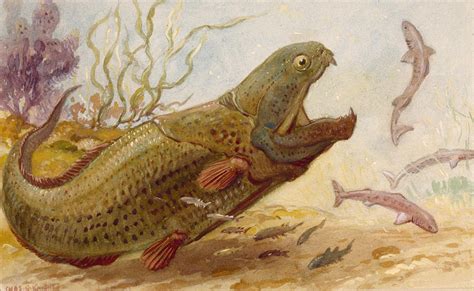 The Extinct Dinichthys Fish Could Grow Photograph By Charles R Knight