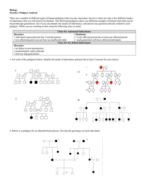 Pedigree chart worksheet with answers pedigree worksheet name _____ i ii 1 2 1 2 4 5 3 = huntington's disease 6 7 8 iii 1 2 3 4 5 1. Pedigree Analysis