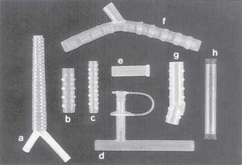 Various Types Of Airway Stents A Dynamic Y Stent B To Gdumon Stent