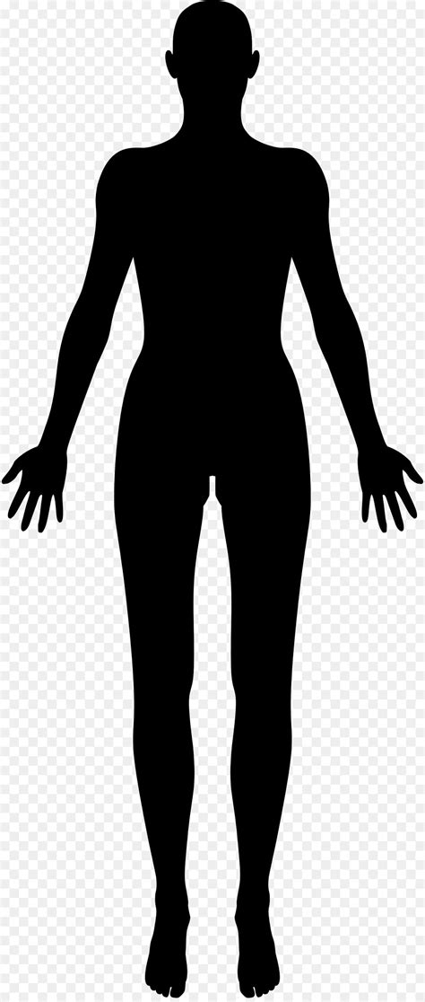 Fragility of a human creature conceptual body art on a woman. Female body shape Human body Silhouette Clip art - female 894*2112 transprent Png Free Download ...