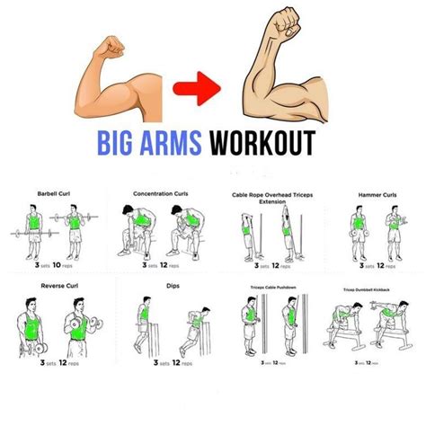 Big Arms Workout Big Arm Workout Arm Workout Step Workout