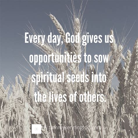 Sowing Spiritual Seeds And The Four Soils Tammy Kennington