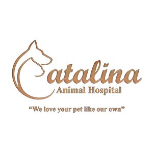 We believe in caring for every pet like we would our own. Northwest Pet Clinic PLLC - Home | Facebook