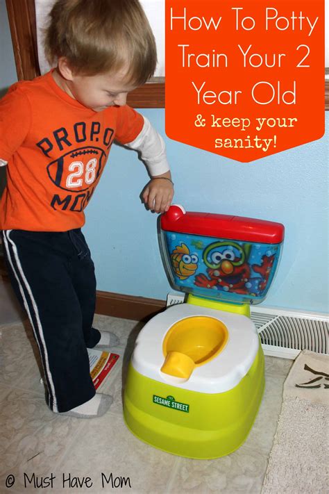 How To Potty Train Your 2 Year Old In A Week