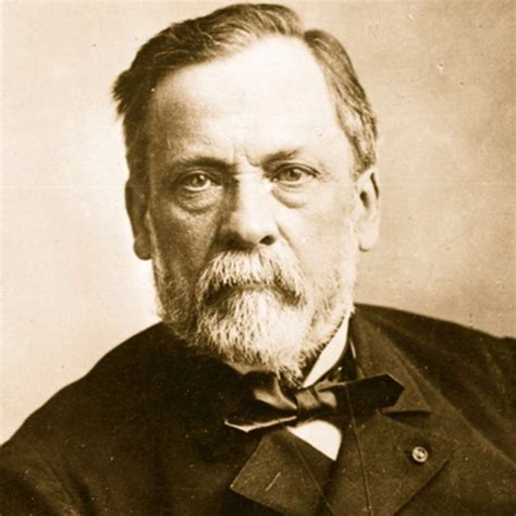 Louis Pasteur Wiki World History Amino