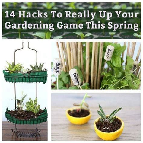 10 hacks to really up your gardening game this spring raised garden