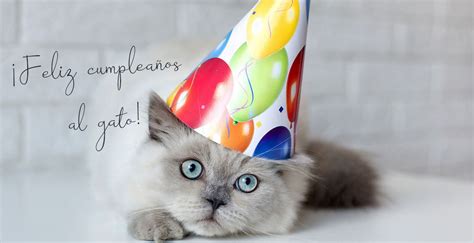 Recolectar 99 Images El Gato Feliz Cumpleaños Viaterramx