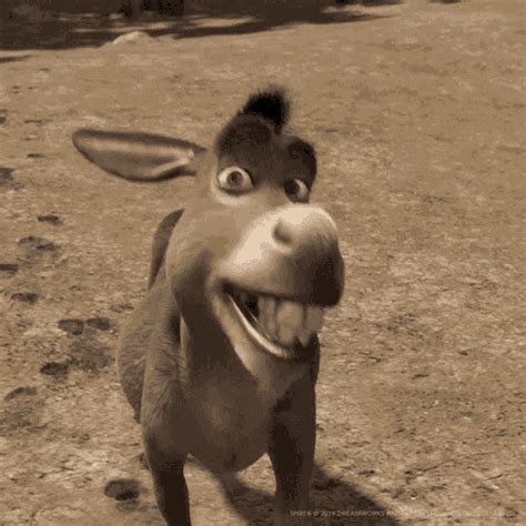 Shrek Donkey Smile S Tenor