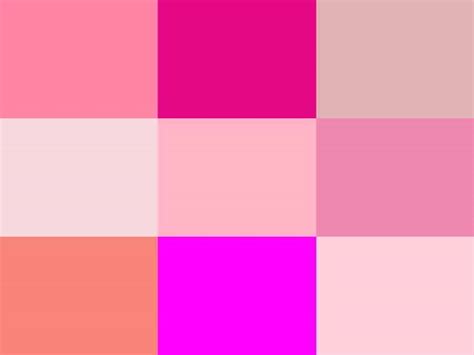 30 Different Shades Of Pink Color With Names Pink Color Chart