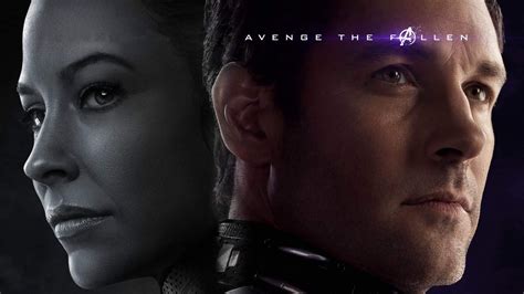 Ant Man And Wasp In Avengers Endgame 2019 Hd Movies 4k Wallpapers