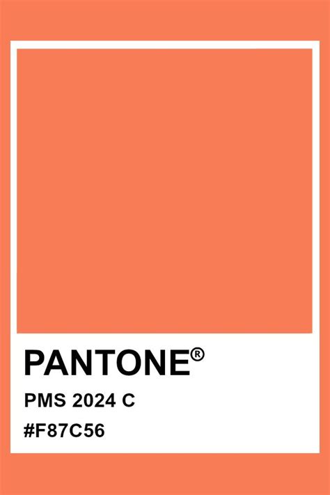 Pantone Color Of The Year 2024 Apricot Crush Image To U