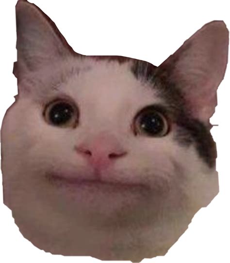 Meme Cat Polite Politecat Freetouse Sticker By Myselife