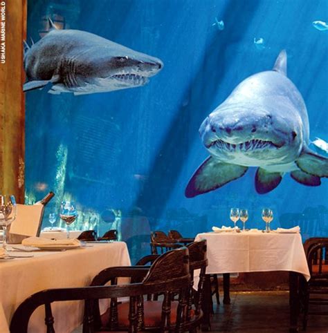 Ushaka Marine World Durban South Africa 8 Underwater Hotels