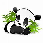 Icon Animal Panda Ico Freeiconspng Transparent Vector