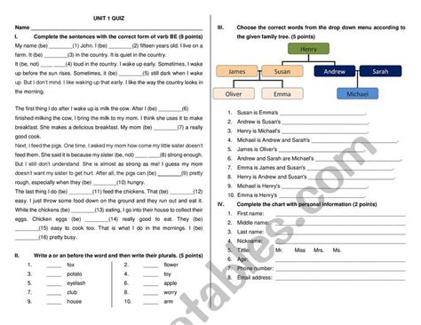 Starter English Unit 1 Test Esl Worksheet By Chrisl1
