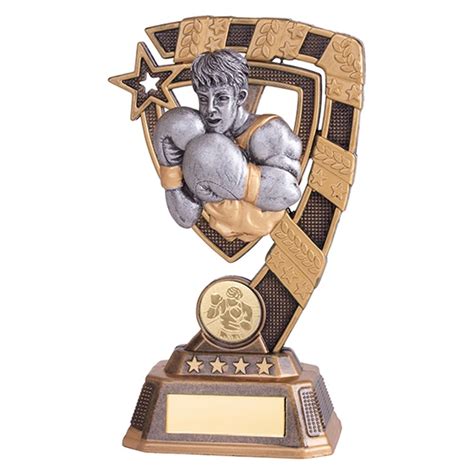 Gold And Silver Resin Boxing Trophy Rf18134 Jaycee Trophies