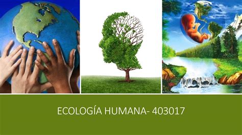 Calaméo Revista Ecología Humana 403017