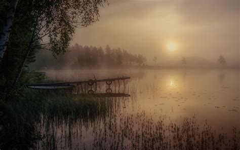 Lake Grass Dock Sunlight Fog Mist Hd Wallpaper Nature And Landscape