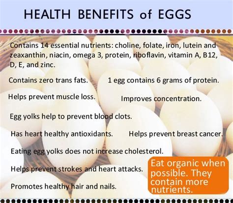 Health Benefits Of Eating Eggs Stylepk