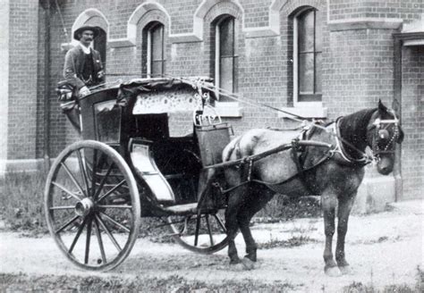 Old Fashioned Horse And Buggy The Twentieth Century Horses And
