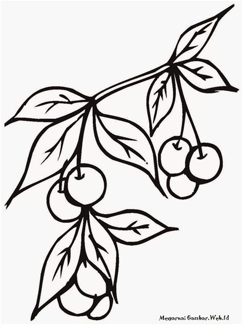 Triknya adalah mengingat sedikit demi sedikit, misalnya dua nama buah setiap hari, sehingga daftar nama buah di atas tidak membebani daya ingat anda. Mewarnai Gambar Buah Cherry | Mewarnai Gambar