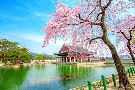 7 Rekomendasi Wisata Alam Di Korea Selatan Yang Menyejukan Hati