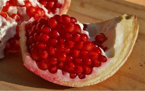 We did not find results for: Buy Russian 26 Cold Hardy Pomegranate For Sale at Best ...