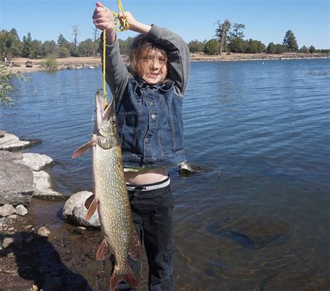 Photo Young Angler From Prescott Catches Massive Fish The Daily