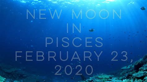 New Moon In Piscespossibility Of The New Dream February 23 2020 Youtube