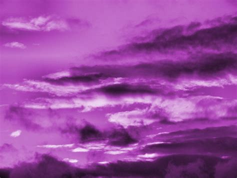 Purple Wallpaper | Purple wallpaper, Purple sky, Purple backgrounds