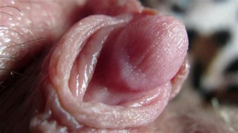 Extreme Close Up On My Huge Clit Head Pulsating M S