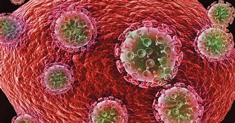 Fda Clears Ind Application For Cell Therapy To Treat Hiv