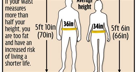 Are You Overweight If Your Waist Is More Than Half Your Height You