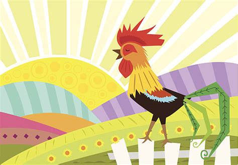 Top 60 Rooster Sunrise Clip Art Vector Graphics And Illustrations Istock