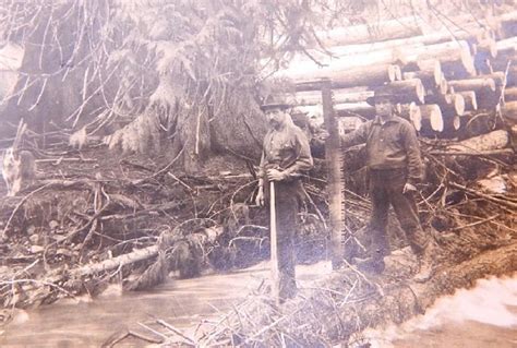 Photo Gallery Michigan Lumber Camps 1870s 1930s