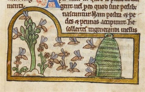 These Medieval Insects Might Give You The Creepy Crawlies Bee Keeping