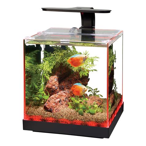Aqueon Edgelit Cube Glass Aquarium 3 Gallon Petco
