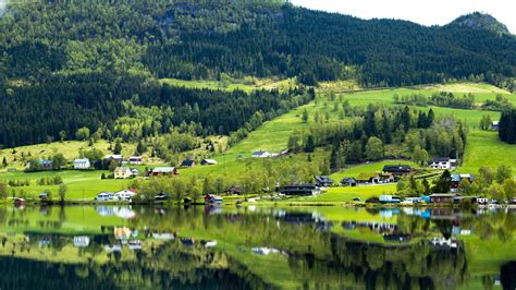 Norway Jungle Countryside Houses Reflection Preview