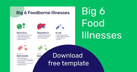 The Big 5 Foodborne Illnesses Poster