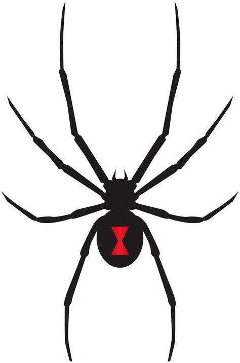 Black Widow Logo Png Meme Database Eluniverso