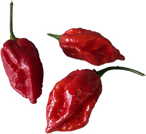 Worlds Hottest Chilli Peppers