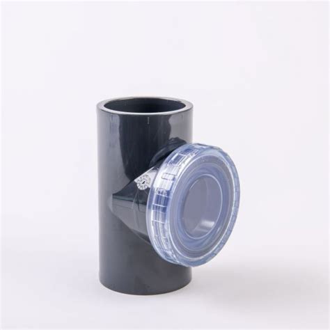 Pentair automatic water filler parts. Swing Check Valve With Transparent Cap in Pool & Spa ...