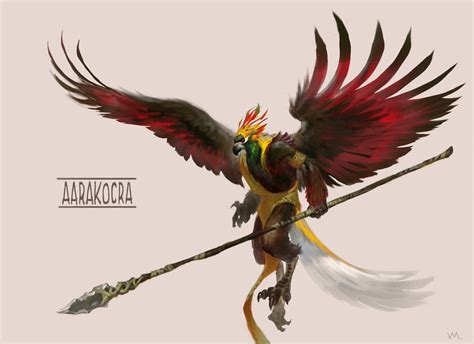Dnd 5e Can An Aarakocra Look Like Any Bird Role Playing Games
