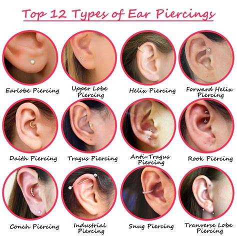Ear Piercing Types Chart