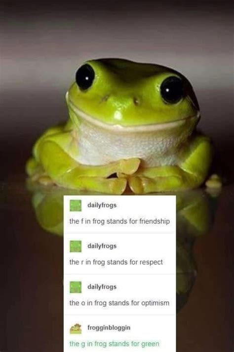 Lets Get Wholesome Video In 2021 Frog Frog Pictures Animal Memes