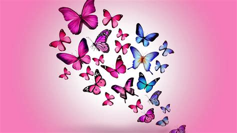 We did not find results for: Butterfly Background HD Desktop Wallpaper 16291 - Baltana